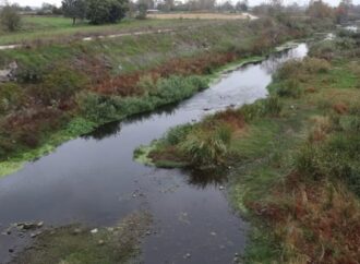 Gönen Çayı ve Manyas Kuş Cenneti’nde kirlilik ciddi boyutta