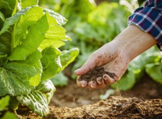 Geleceğin sürdürülebilir gıda sistemleri için Avrupa ortaklığı