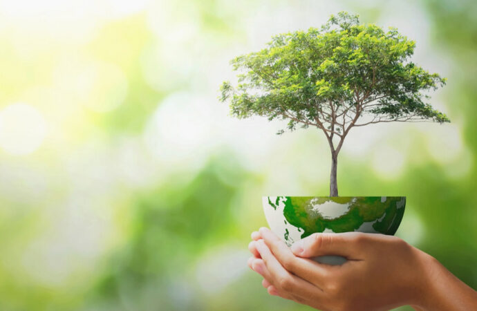 Sürdürülebilir büyümede dünyanın lider şirketleri açıklandı