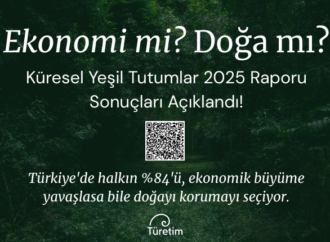 Küresel Yeşil Tutumlar Anketi 2025