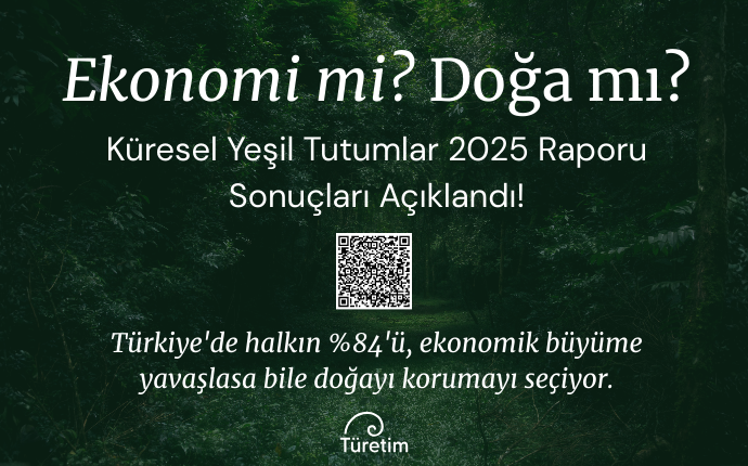 Küresel Yeşil Tutumlar Anketi 2025