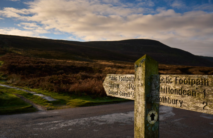 İngiltere’de doğa için tarihi adım: Northumberland’da umut yeşeriyor