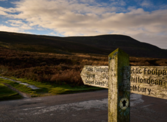 İngiltere’de doğa için tarihi adım: Northumberland’da umut yeşeriyor