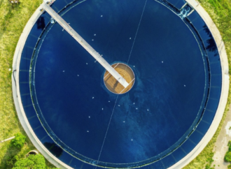 Metan yiyen mikroplar iklim krizinde çözüm olabilir mi?