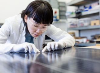 Yenilenebilir enerjide kurulum rekor kırdı ancak istihdam artışı sınırlı kaldı