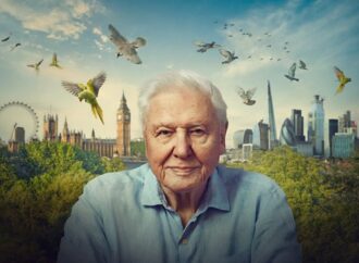 David Attenborough: “Doğası olmayan şehirler mutlu olamaz’’