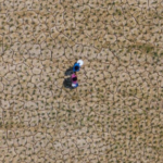 Asya-Pasifik 2030 hedeflerinden uzaklaşıyor