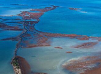 Gediz Deltası kirlilik ve kuraklıkla mücadele ediyor