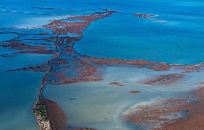 Gediz Deltası kirlilik ve kuraklıkla mücadele ediyor