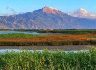 Milleyha Doğa Gözlem Merkezi açılıyor