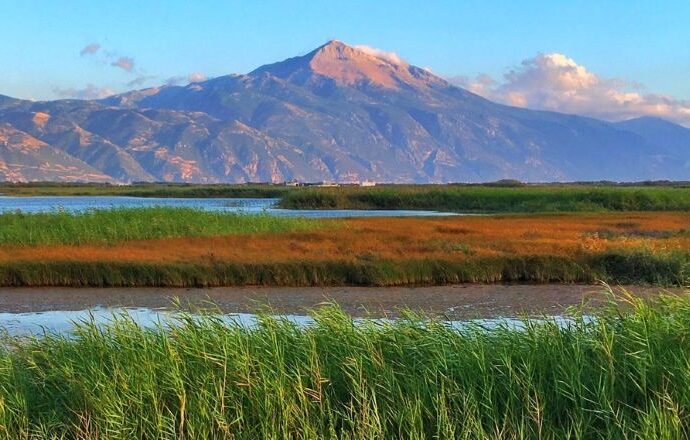 Milleyha Doğa Gözlem Merkezi açılıyor