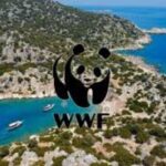 WWF Türkiye: Kaş-Limanağzı’nda doğal ve arkeolojik miras tehlikede