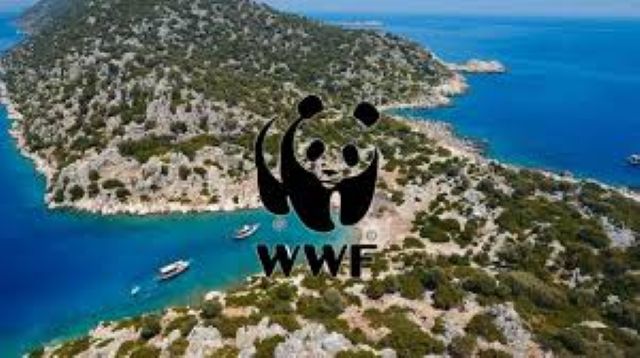 WWF Türkiye: Kaş-Limanağzı’nda doğal ve arkeolojik miras tehlikede