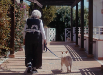 Yaşlı barınak köpekleri huzurevlerine konuk oluyor