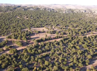 Amazon ve UNDP’den deprem bölgesindeki ekosistemlere 1,5 milyon euro destek