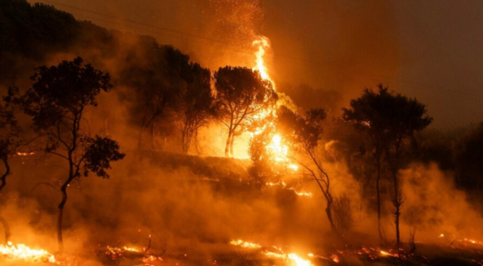 Orman yangınları için ideal olan hava koşulları gün sayısı küresel ölçekte artıyor