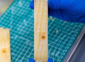 Elektrik kullanmadan binaların sıcaklığını dengeleyen ahşap bazlı ‘’termal pil’’ geliştirildi