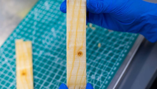 Elektrik kullanmadan binaların sıcaklığını dengeleyen ahşap bazlı ‘’termal pil’’ geliştirildi