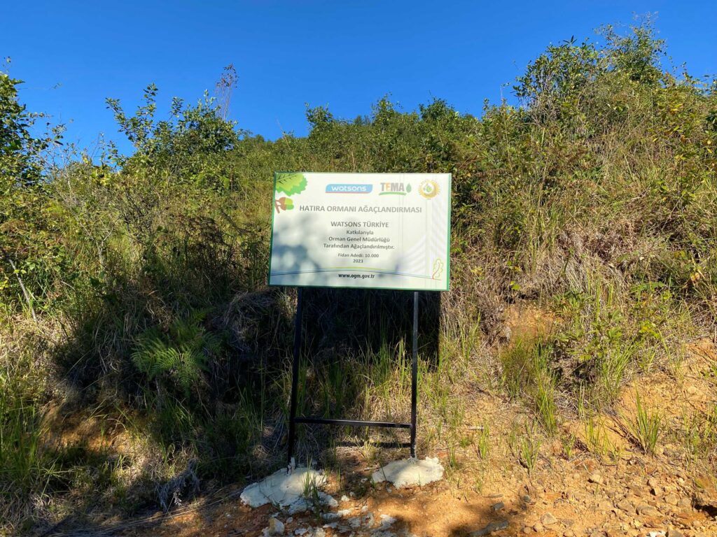 Watsons iyilik hareketi ormanlarımızı büyütmeye çağırıyor