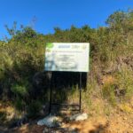 Watsons iyilik hareketi ormanlarımızı büyütmeye çağırıyor