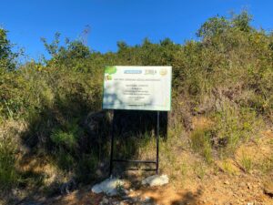 Watsons iyilik hareketi ormanlarımızı büyütmeye çağırıyor