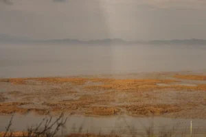 ‘‘Korean Demilitarized Zone’’ 70 yılda yaban hayatı cennetine dönüştü