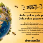Türkiye’de bir bal markası “Arı Hakları Elçisi” arıyor