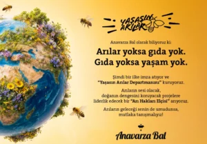 Türkiye’de bir bal markası “Arı Hakları Elçisi” arıyor
