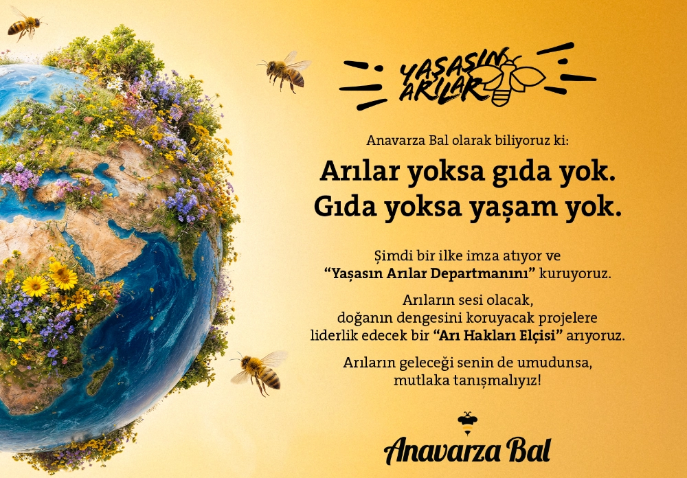 Türkiye’de bir bal markası “Arı Hakları Elçisi” arıyor