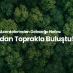 Aksigorta ve acentelerinden geleceğe nefes: 12 bin fidan toprakla buluştu