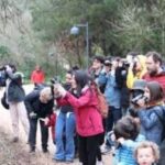 Atatürk Kent Ormanı’nda leylek gözlemi