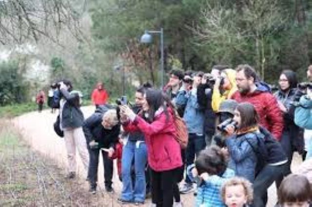 Atatürk Kent Ormanı’nda leylek gözlemi