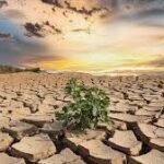 Biyoçeşitlilik kaybı yalnızca çevresel değil finansal istikrar için de risk yaratıyor