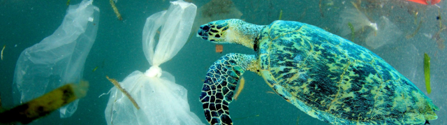 Derinleşen plastik krizi için sistem değişimi şart