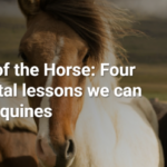 Doğadan öğrenilecek dört çevre dersi