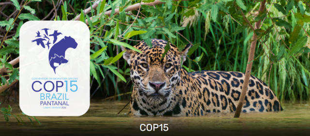 Göçmen türler için Küresel Koruma Ağı neyi amaçlıyor?