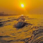 Dünya Meteoroloji Örgütü: İklim dengesizliği rekor seviyede