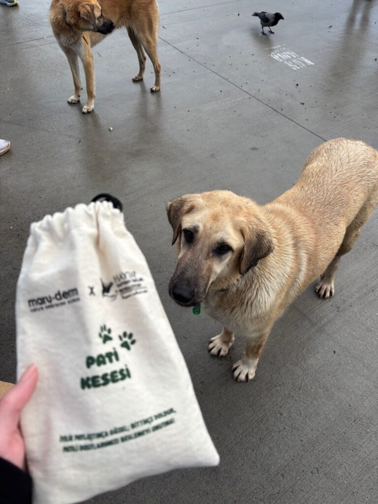 Maruderm’den HAYTAP iş birliğiyle anlamlı adım: “Pati Kesesi” ile iyilik günlük hayata taşınıyor