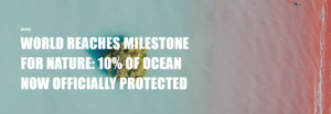 Okyanusların yüzde 10’u artık koruma altında