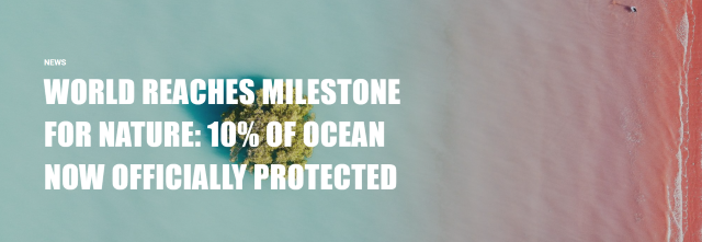 Okyanusların yüzde 10’u artık koruma altında