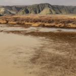 Türkiye’de 2050’den itibaren iklim beklentisi sıcak ve kurak