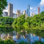 New York kent genelinde “Şehir Ormanı Planı”nı başlattı