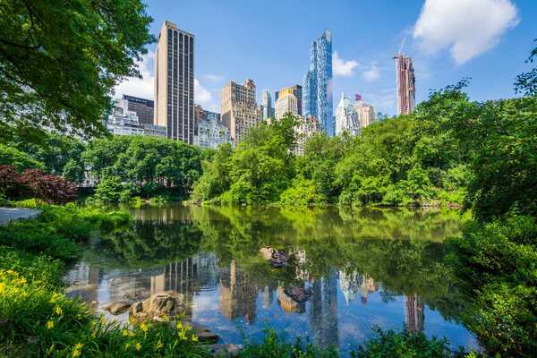 New York kent genelinde “Şehir Ormanı Planı”nı başlattı