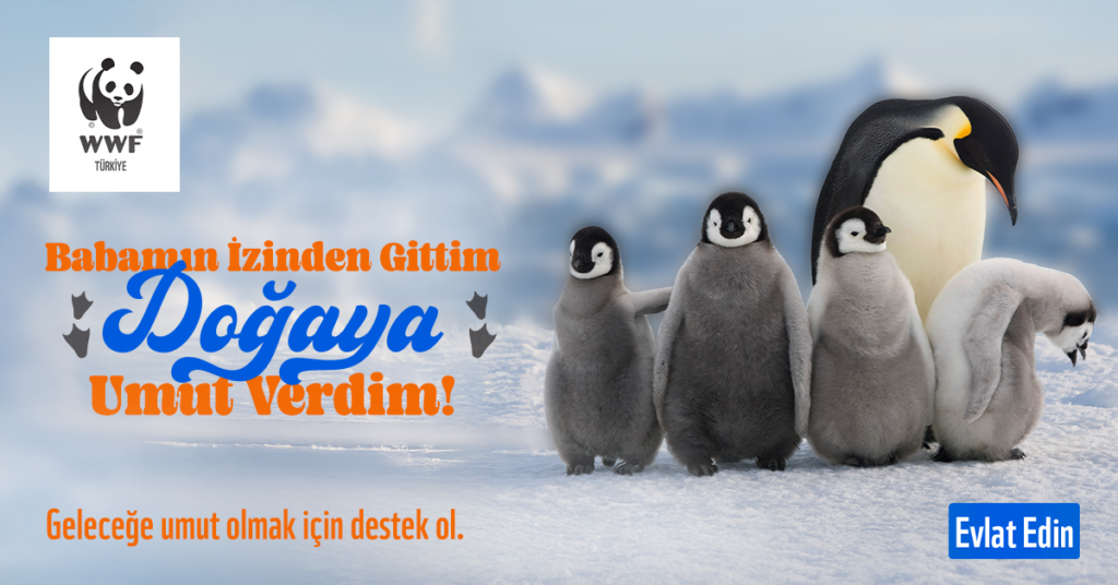 WWF-Türkiye’den Babalar Gününde etkisi nesiller boyu sürecek hediye seçenekleri