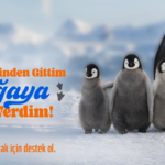 WWF-Türkiye’den Babalar Gününde etkisi nesiller boyu sürecek hediye seçenekleri
