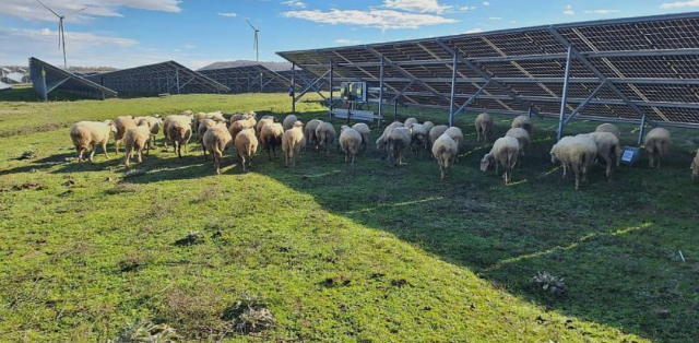 Borusan EnBW Enerji’den çevreyi ve kırsal kalkınmayı güçlendiren döngüsel ekonomi modeli