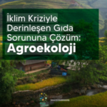 Gıda krizi derinleşirken çözüm agroekolojide mi?