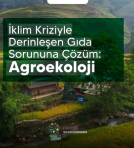 Gıda krizi derinleşirken çözüm agroekolojide mi?