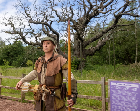 Robin Hood’un efsanevi sığınağı Büyük Meşe yaşamını yitirdi
