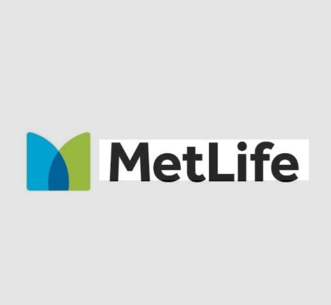 MetLife Vakfı, küresel programı kapsamında Türkiye’deki sivil toplum kuruluşlarına toplumun önemli ihtiyaçlarını karşılamak üzere hibe veriyor